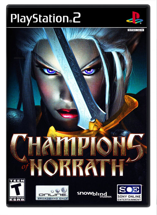 Jogo Champions of Norrath: Realms of Everquest Playstation 2